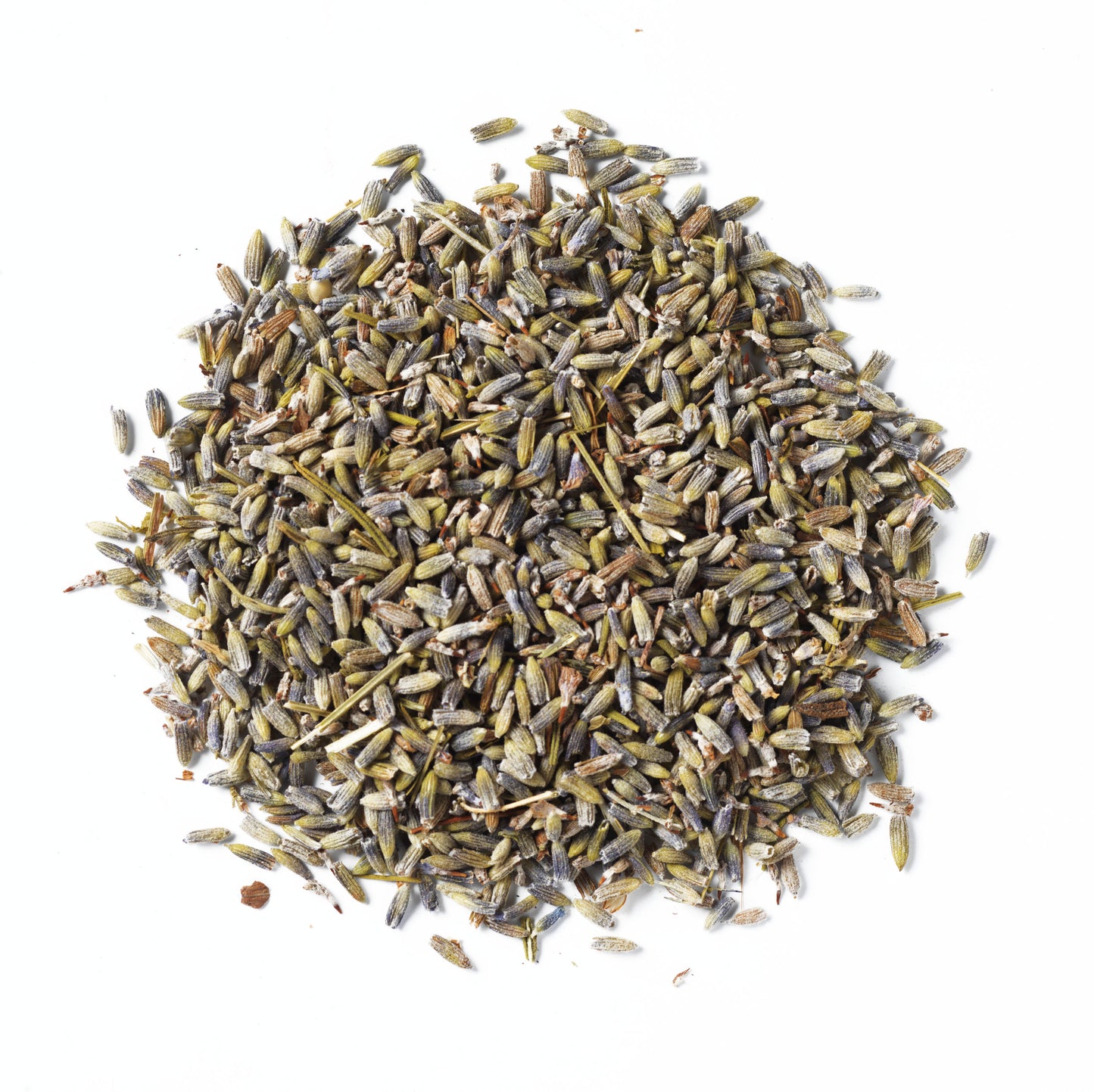 Biologische Lavendel